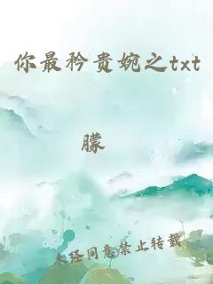 你最矜贵婉之txt