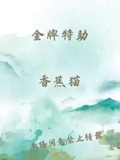 金牌特助