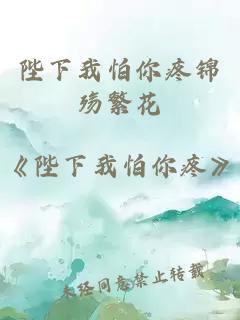 陛下我怕你疼锦殇繁花